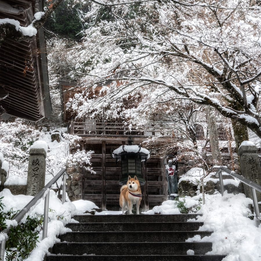 長源寺 雪景色